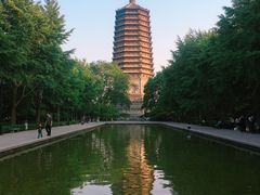 -玲珑塔公园