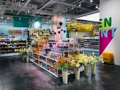 -KKV(上海月星环球港店)