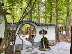 -东平国家森林公园