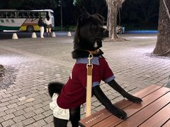 -立德24H动物医院·夜诊·转诊中心·1.5T核磁共振(海珠店)