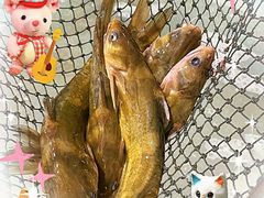 -九寨沟石锅鱼(沣峪口二十年店)