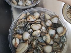 -东疆理想海岸沙滩景区