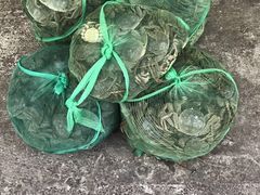 -鲁氏汤包王(长白街店)
