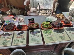 -马陆小张葡萄园农家乐