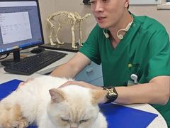 -瑞鹏·疫苗·绝育·宠物医院(金沙洲店)