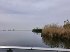 -滆湖低碳生态公园