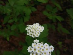 -周口店北京人遗址公园