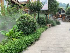 -夜不收荤豆花(大邑总店)