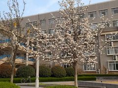 -河海大学(江宁校区)