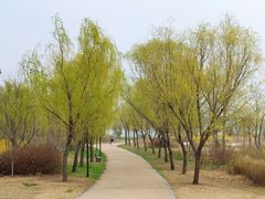 -江苏三台山国家森林公园