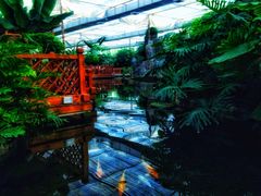 -汤山翠谷生态餐厅