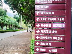 -风云岭森林公园