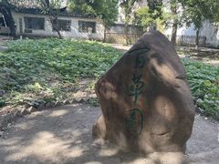 -绍兴鲁迅故里·沈园景区