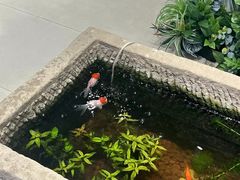 -古大圣慈寺