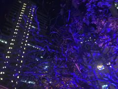 -大馆(前中区警署建築群)