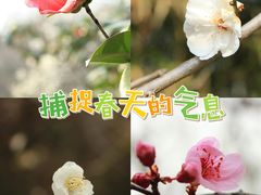 -南京古林公园