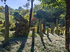 -东莞植物园