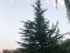 -咸阳湖景区