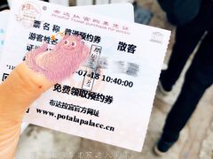 -布达拉宫