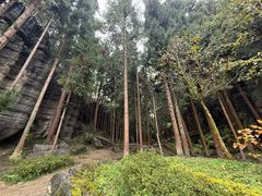 -梭布垭石林景区