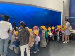 -小米乐儿童之家