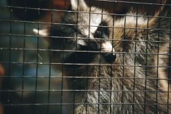 -酷嗒动物文化乐园(cutezoo西溪乐天城店)