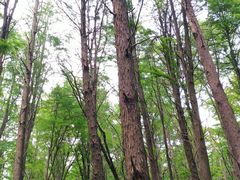 -同里国家湿地公园
