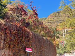 -爱情山风景区