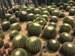 -华南国家植物园-售票处