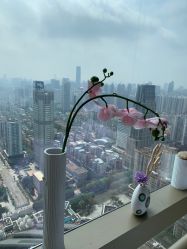 -久匠·纹眉半永久野生眉