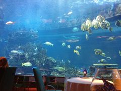 -迪拜帆船酒店海底餐厅