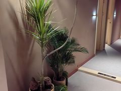 -LANN I 蘭·泰式古法按摩(长宁来福士东八区店)