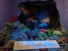 -中国湿地博物馆