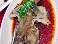 -丰顺宝丰酒店温泉