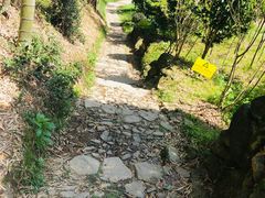 -宁波浙东大竹海景区