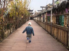 -呀路古热带植物园