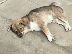 -西溪南古村落