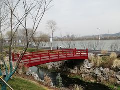 -羊山湖公园