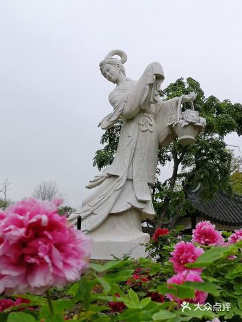 最近听说上海植物园的牡丹园改造好了 地方大了好多呢