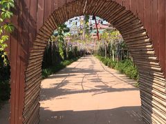 -北京呀路古热带植物园