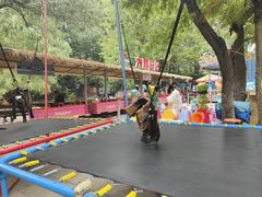 -大鹅岛绿色生态美食园