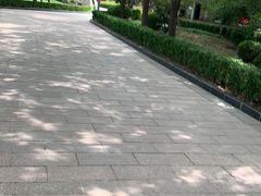 -新川办餐厅