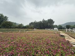 -万佛湖风景区