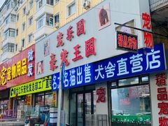 -哈尔滨道外花鸟鱼市场