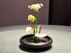 -沈灶河豚宴·河豚融合餐厅(汉中路店)
