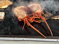 whole crayfish-Kaikoura Seafood BBQ Kiosk
