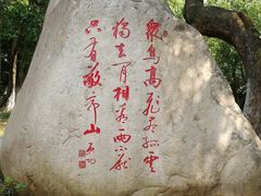 -敬亭山风景名胜区