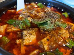 -陈麻婆豆腐总店