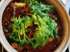 -先机泉水鸡汤(南山老君洞店)