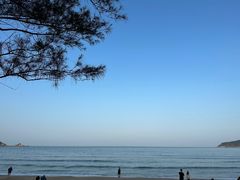 -众味海鲜大排档·活海鲜·潮汕味(南澳店)